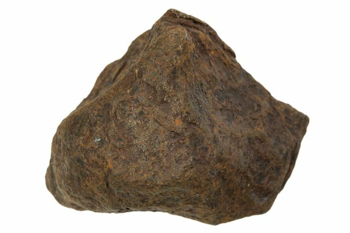 Mundrabilla Iron Meteorite ( g) - Australia #318882